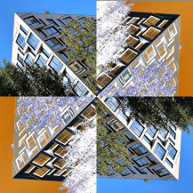 The Silva Luxury Apartments, Adams Morgan DC