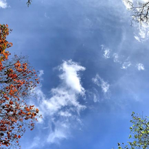 Vertical Street Panoramic's, Washington DC
