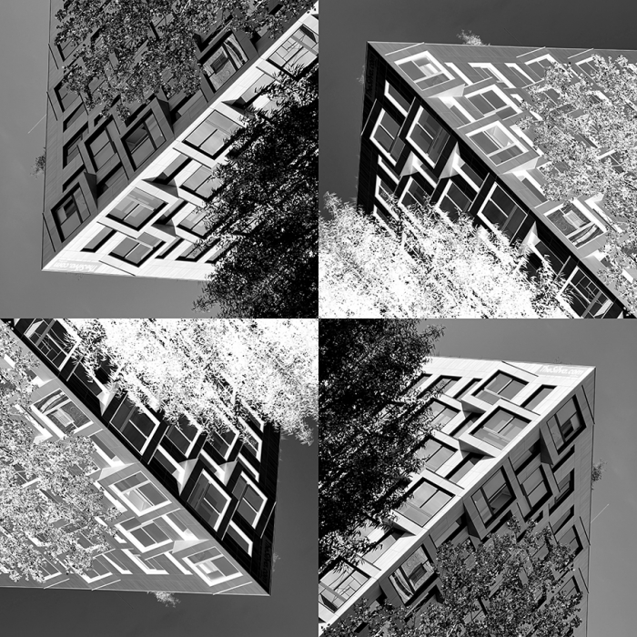 e-16c_-_4-q_11j.jpg