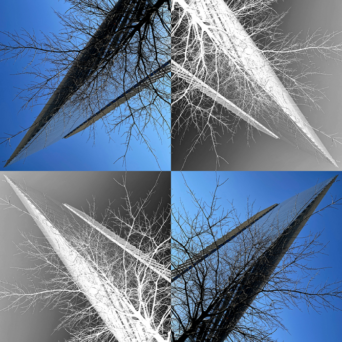 e-mgm_-_4-q_1l.jpg