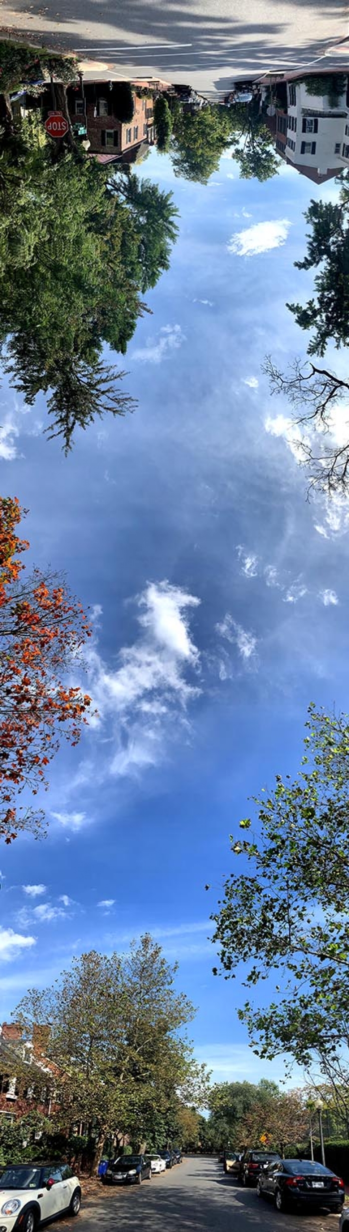 img_1666_copy.jpg