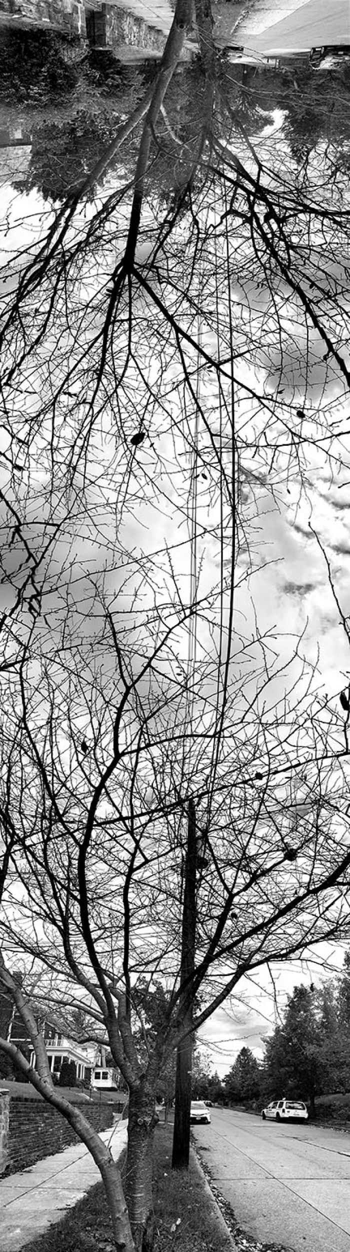 img_2099bw_copy.jpg