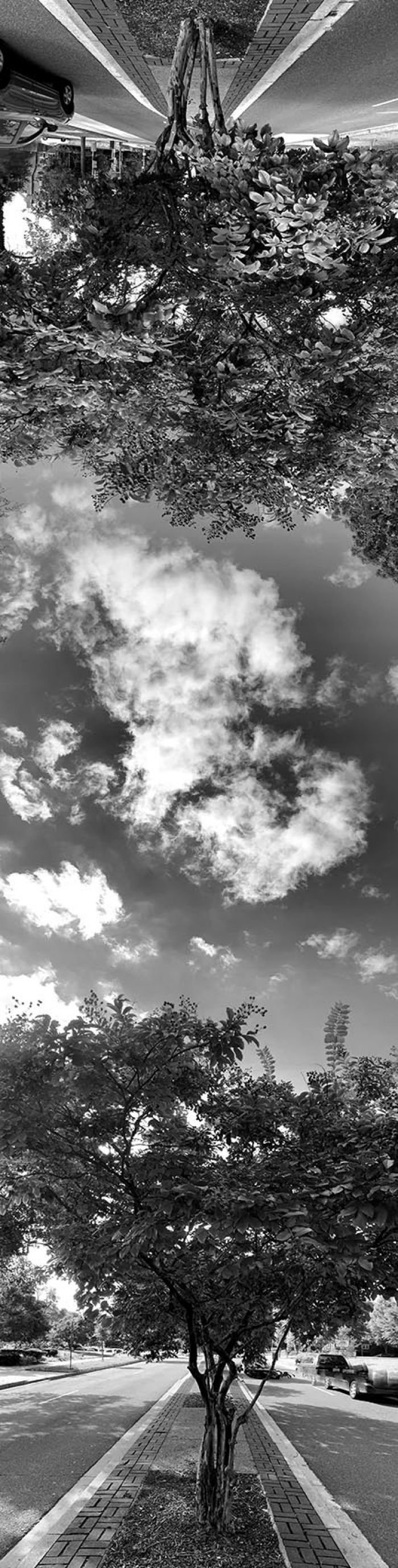 img_2135bw_copy.jpg