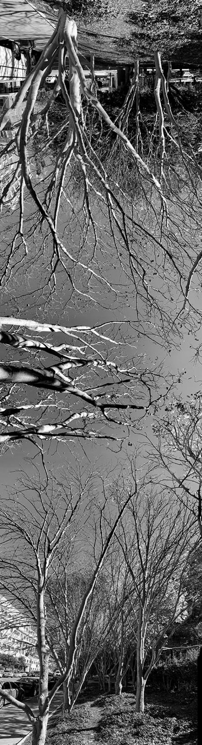 img_2237bw_copy.jpg