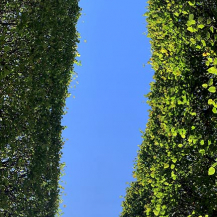 National Law Enforcement Officers Memorial